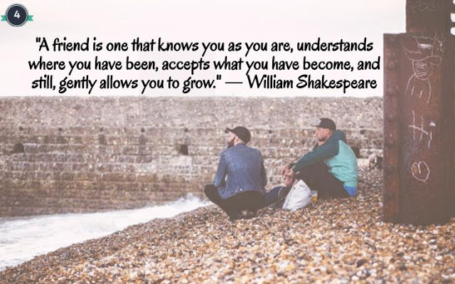 10 Best Friendship Quotes that explains this Relation - LitListed